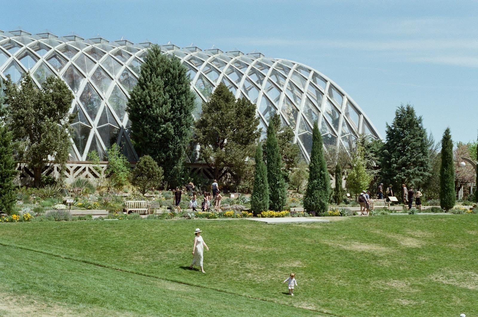 The geodesic glass dome of the Denver Botanic Gardens conservatory above green lawns and garden beds