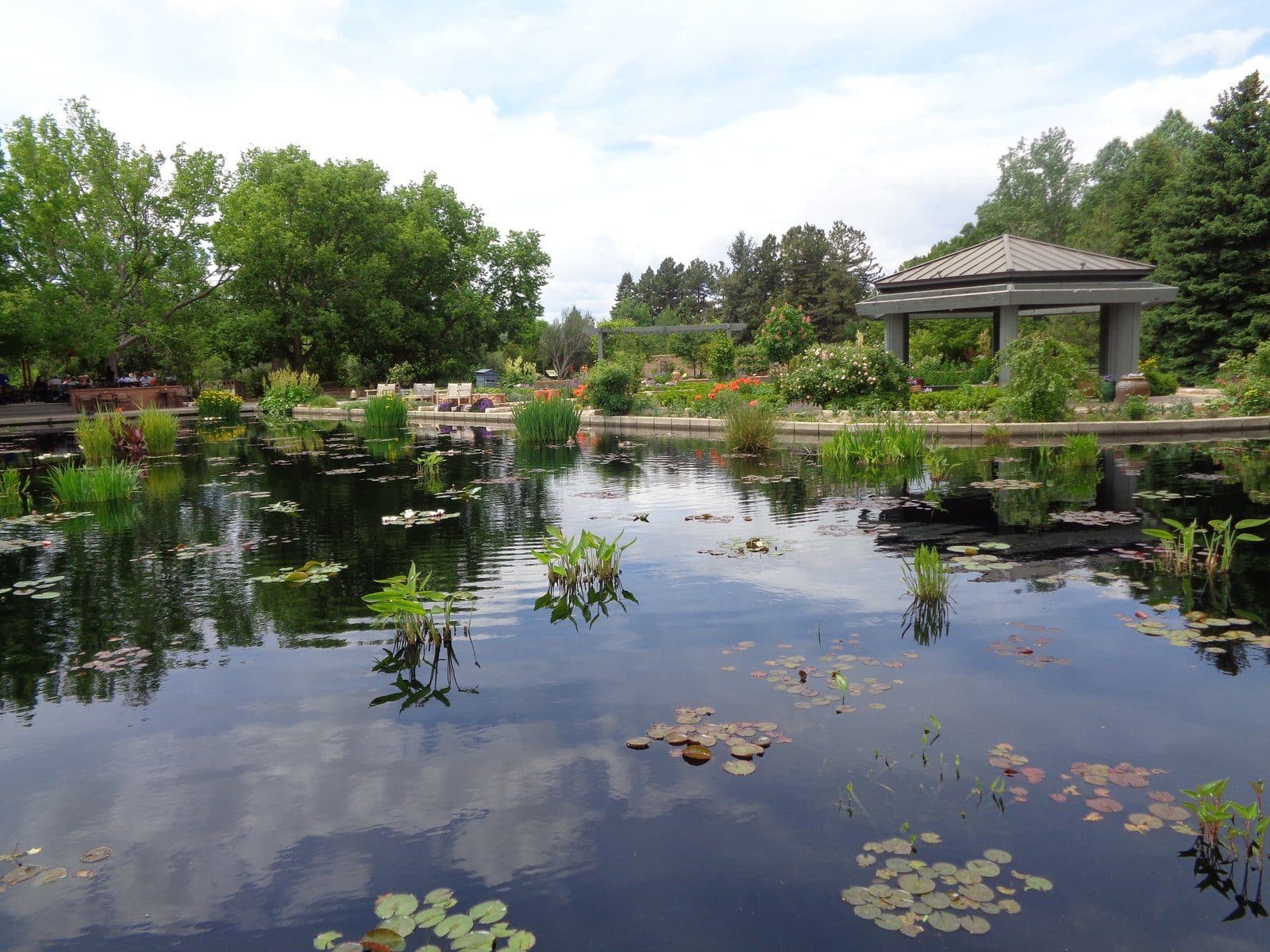 A lily pond and gazebo at the Denver Botanic Gardens, on Cheesman Park's eastern edge