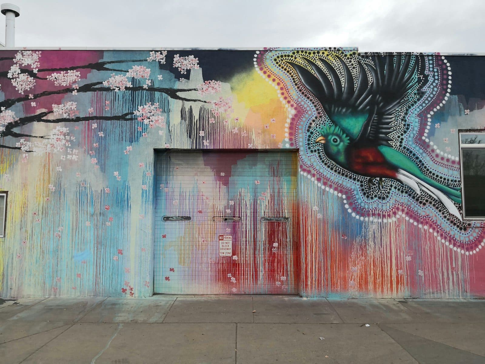 A vibrant quetzal-bird mural across a warehouse wall in Denver's RiNo Art District